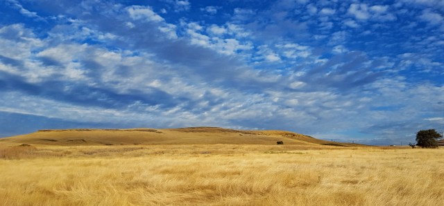 North Forebay Morning 2