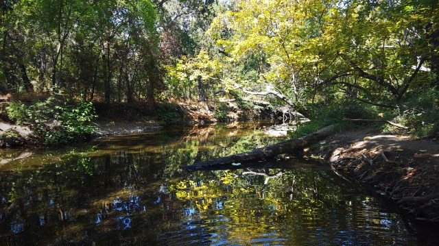 2018-09-19_Lower Bidwell Park 4